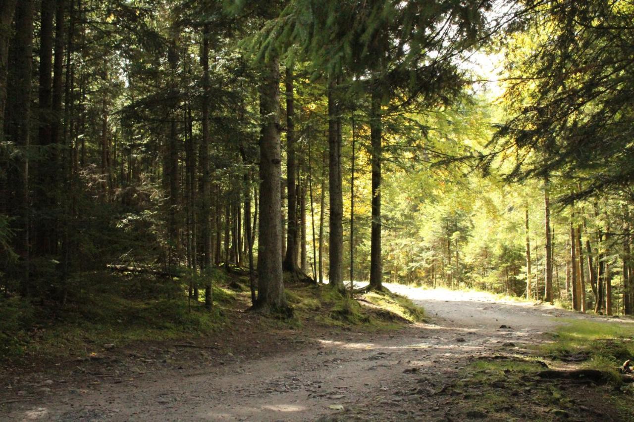 Zespol Dolina Bialego - Telimena Zakopane